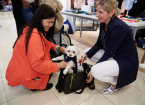 Two women kneeling around a bag with a white small dog in it