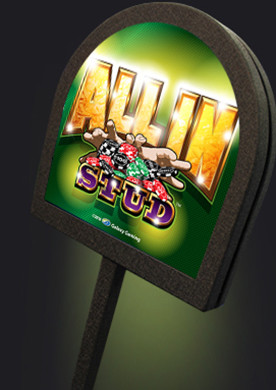 All In Stud