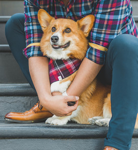 Chaivat (Charles) Suwannaporn