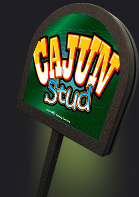 Cajun Stud