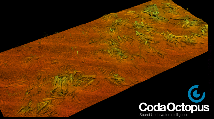 Debris Field