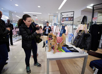 Attendee looking at a dog on a table displaying product