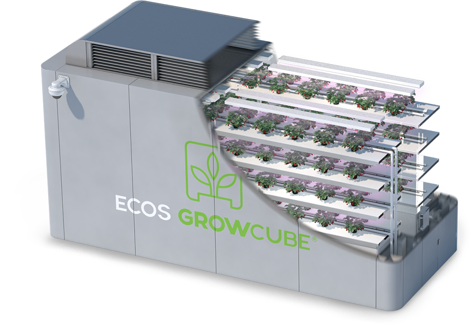 growcube