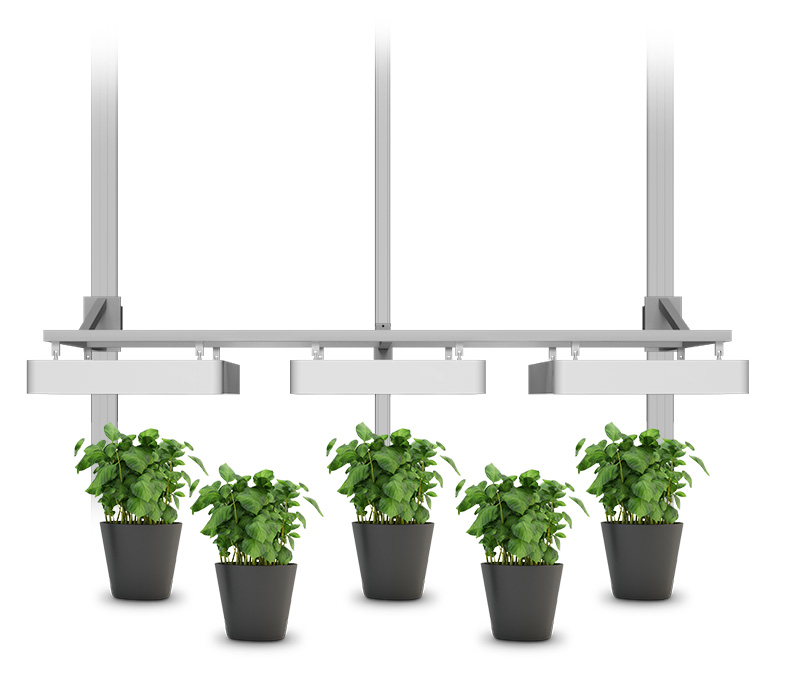 hydroponic growth