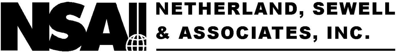 nsaiheadergraphicii.jpg