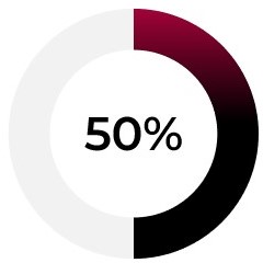 Revenue -donut chart.jpg