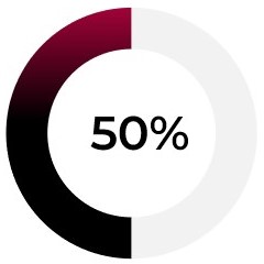 AFFO-donut chart.jpg