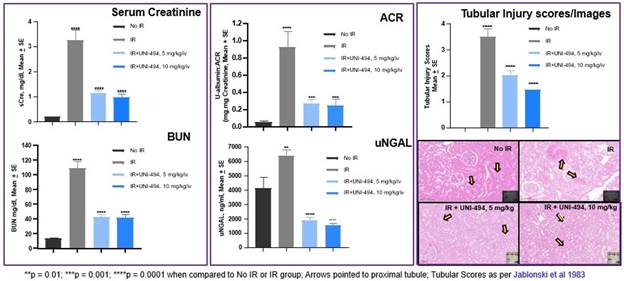 A close-up of a graph  AI-generated content may be incorrect.
