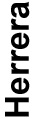 04_PRO013348_gfx_Skill and Experience Name _Herrera.jpg