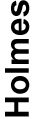 04_PRO013348_gfx_Skill and Experience Name _Holmes.jpg
