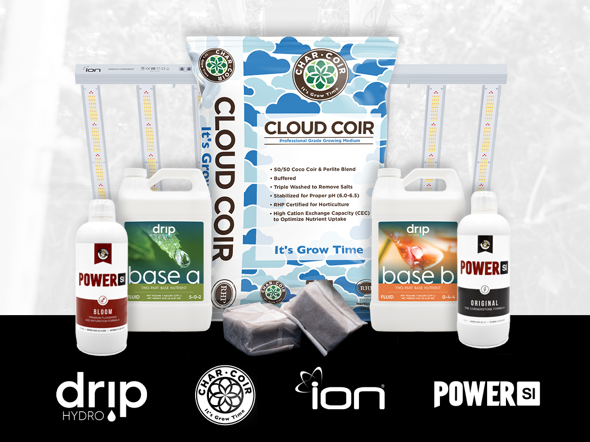 GG_PowerBrands (002).jpg